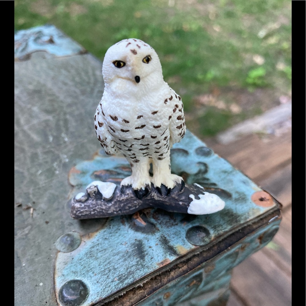 Little Snow Owl “wannabe” Harry Potter’s Hedwig